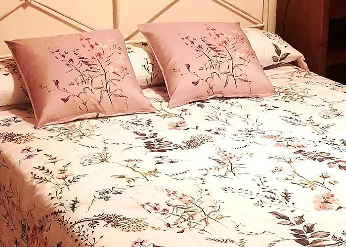 Daire En El Centro De Foz